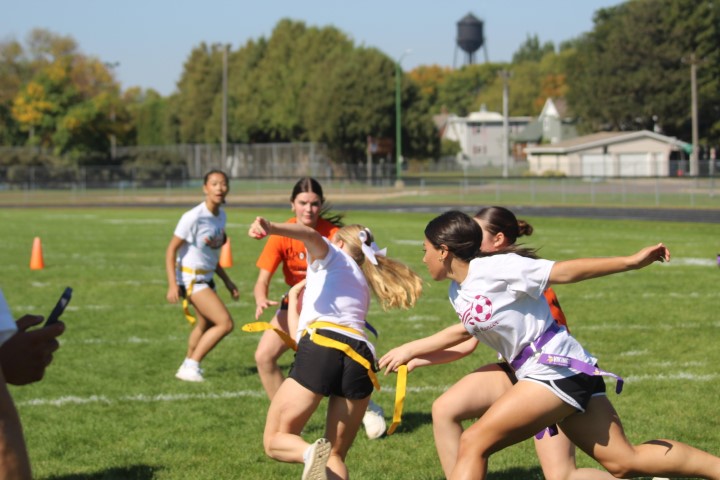 IMG_9037 (Small)